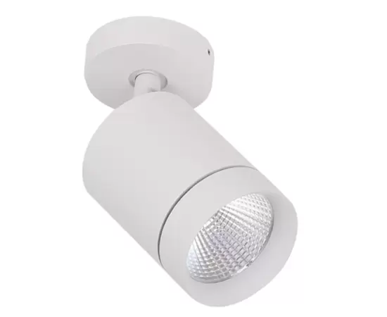 Dobac Juvenis Surface White 20W 40° XD2132-WH-40 Plafon