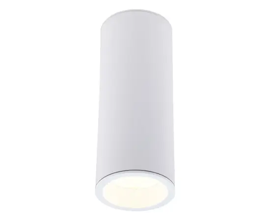 Maxlight long c0153 lampa sufitowa/plafon okrągły biały