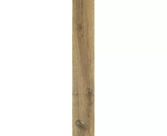 Rex Planches de Rex Noisette 20x120x1cm