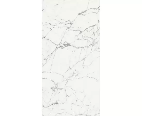 Rex Les Origines de Rex Origines Blanc 120x240x0,6cm